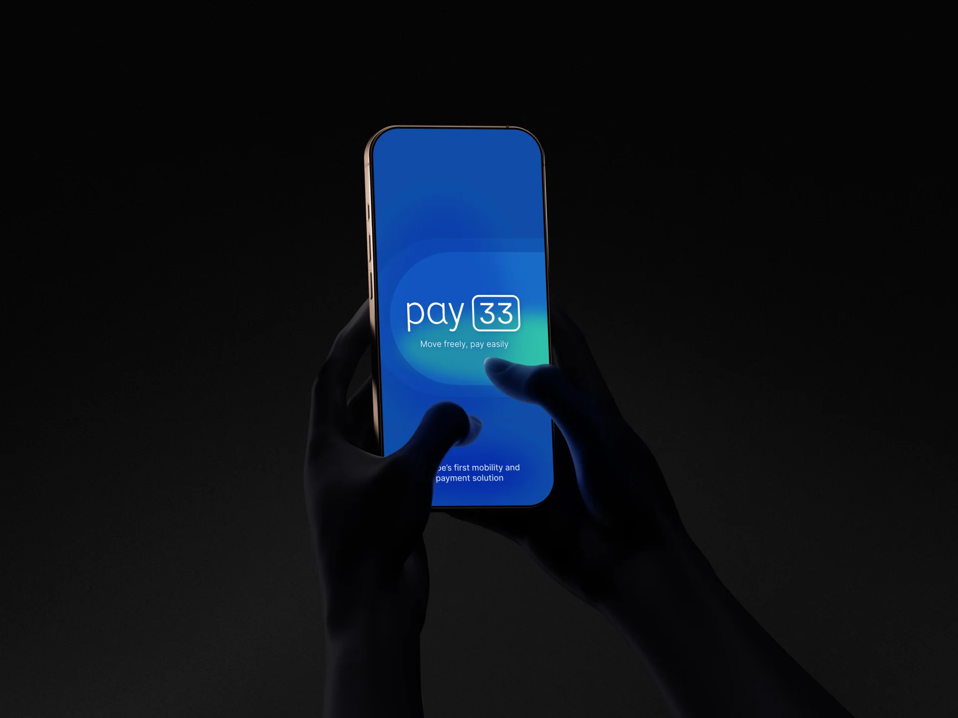 Pay33 – varumärkesdesign 1